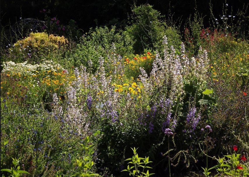 d'Auvergne Botanical Garden, Chamalières, France, France